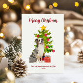 Cartes Pour Fêtes Annuelles Noël du chien berger australien