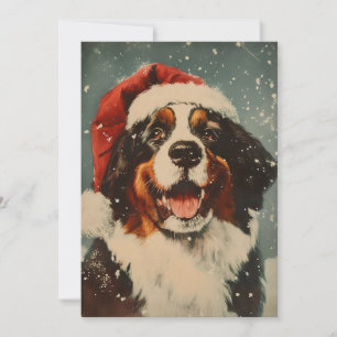 Cartes Pour Fêtes Annuelles Noël du chien de montagne bernois