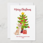 Cartes Pour Fêtes Annuelles Noël du chien du Chihuahua (Devant)