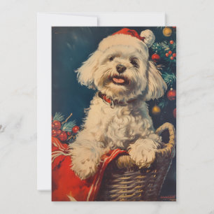 Cartes Pour Fêtes Annuelles Noël du chien maltais