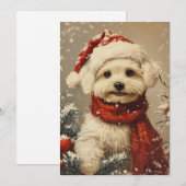 Cartes Pour Fêtes Annuelles Noël du chien maltais (Devant / Derrière)