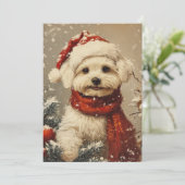 Cartes Pour Fêtes Annuelles Noël du chien maltais (Debout devant)