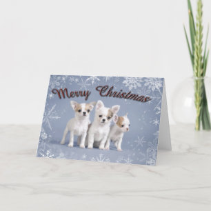 Cartes Pour Fêtes Annuelles Noël du Chihuahua