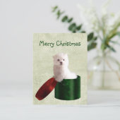 Cartes Pour Fêtes Annuelles Noël du chiot maltais (Debout devant)