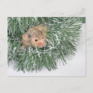 Cartes Pour Fêtes Annuelles Noël du hamster