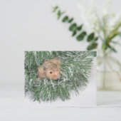 Cartes Pour Fêtes Annuelles Noël du hamster (Debout devant)