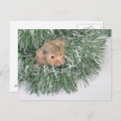 Cartes Pour Fêtes Annuelles Noël du hamster (Devant / Derrière)