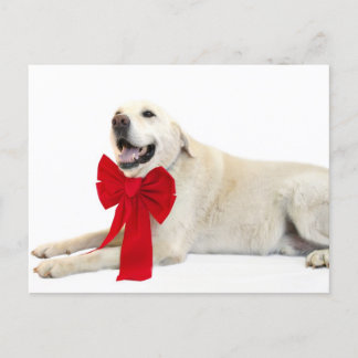 Cartes Pour Fêtes Annuelles Noël du laboratoire jaune