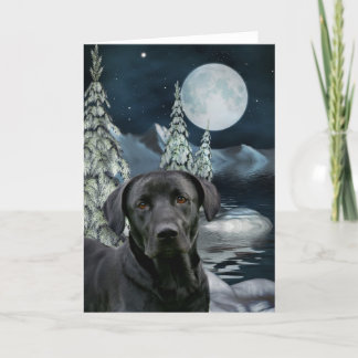 Cartes Pour Fêtes Annuelles Noël du laboratoire noir