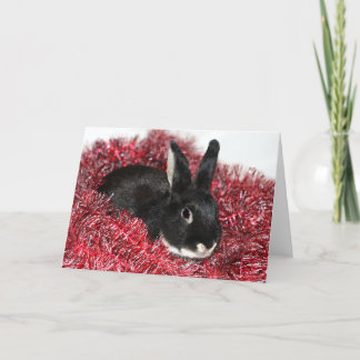 Cartes Pour Fêtes Annuelles Noël du lapin