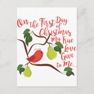 Cartes Pour Fêtes Annuelles Noël du premier jour