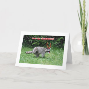 Cartes Pour Fêtes Annuelles Noël du Raccoon