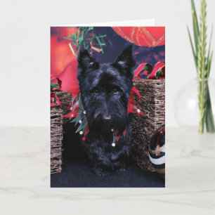 Cartes Pour Fêtes Annuelles Noël - Ecosse - Paisley