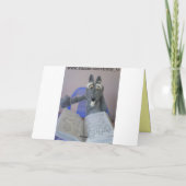 Cartes Pour Fêtes Annuelles Noël en juillet (Dos)