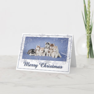 Cartes Pour Fêtes Annuelles Noël enroué