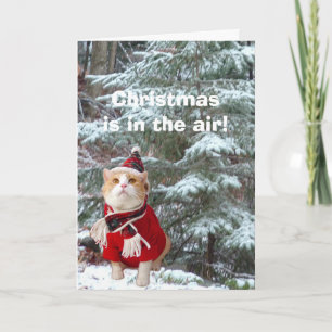 Cartes Pour Fêtes Annuelles Noël est en l'air !