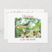 Cartes Pour Fêtes Annuelles Noël est pour les oiseaux (Devant / Derrière)