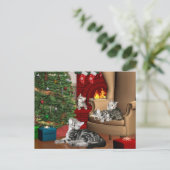 Cartes Pour Fêtes Annuelles Noël familial Tabby (Debout devant)