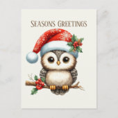 Cartes Pour Fêtes Annuelles Noël festif ajouter le message hibou (Devant)