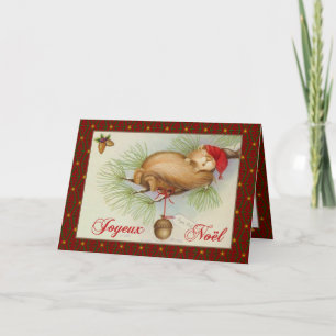 Cartes Pour Fêtes Annuelles Noël français, écureuil Vintage, pin et glande