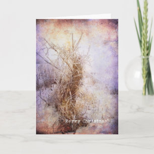 Cartes Pour Fêtes Annuelles Noël gelé