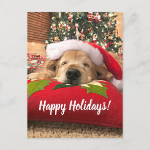 Cartes Pour Fêtes Annuelles Noël Golden Retriever Chien endormi sous arbre