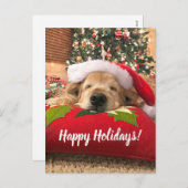 Cartes Pour Fêtes Annuelles Noël Golden Retriever Chien endormi sous arbre (Devant / Derrière)