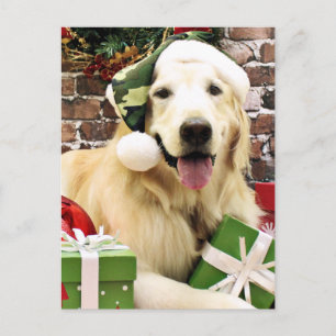 Cartes Pour Fêtes Annuelles Noël - Golden Retriever - Hudson