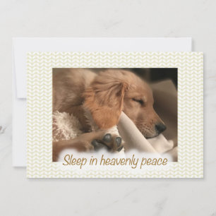 Cartes Pour Fêtes Annuelles Noël Golden Retriever Paix