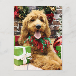 Cartes Pour Fêtes Annuelles Noël - GoldenDoodle - Claire