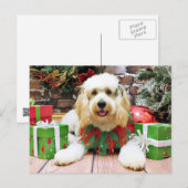 Cartes Pour Fêtes Annuelles Noël - GoldenDoodle - Mazey (Devant / Derrière)