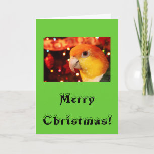 Cartes Pour Fêtes Annuelles Noël gonflé par blanc de perroquet de caïque