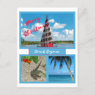 Cartes Pour Fêtes Annuelles Noël Grand Cayman