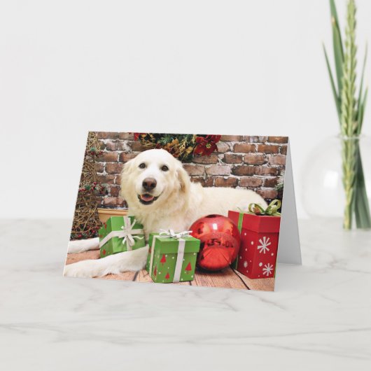 Cartes Pour Fêtes Annuelles Noël - Grands Pyrénées Labrador X - Ginny (Devant)