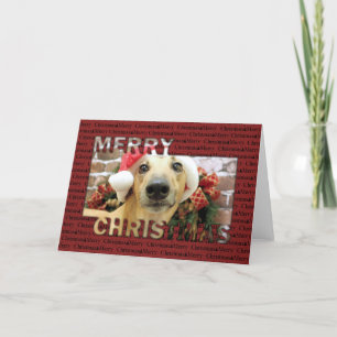 Cartes Pour Fêtes Annuelles Noël - Greyhound - Pena
