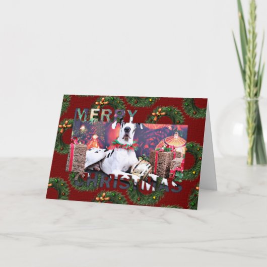 Cartes Pour Fêtes Annuelles Noël - harlequin great dane - baron (Devant)