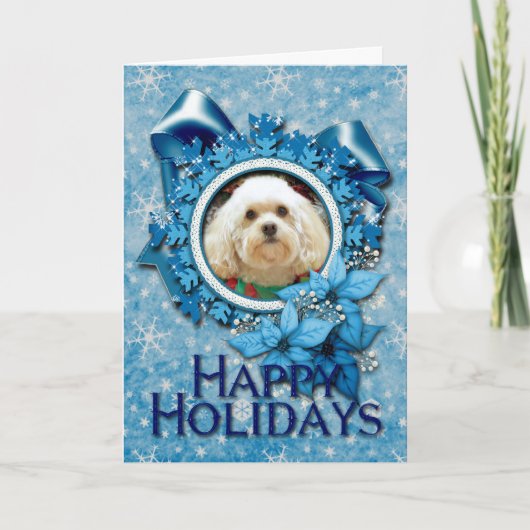 Cartes Pour Fêtes Annuelles Noël - Havanese - maçon (Devant)