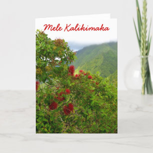 Cartes Pour Fêtes Annuelles Noël hawaïen