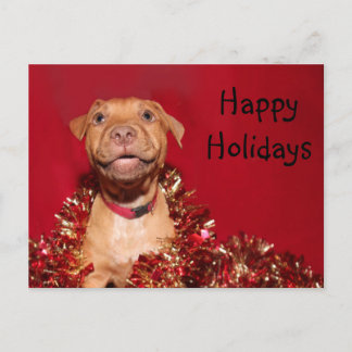 Cartes Pour Fêtes Annuelles Noël heureux de chiot de pitbull
