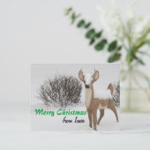 Cartes Pour Fêtes Annuelles Noël Iowa (Debout devant)