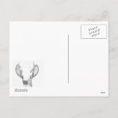 Cartes Pour Fêtes Annuelles Noël Iowa (Dos)