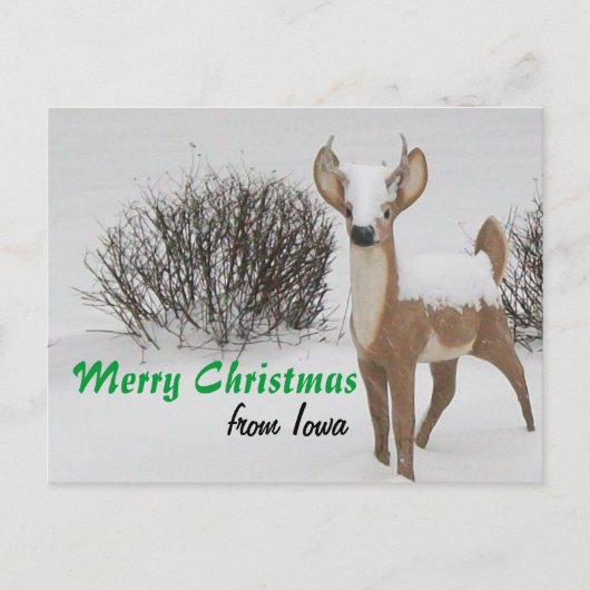 Cartes Pour Fêtes Annuelles Noël Iowa (Devant)