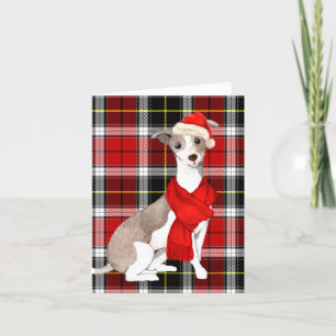 Cartes Pour Fêtes Annuelles Noël italien Greyhound et Holiday Plaid