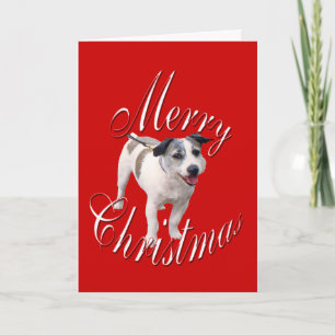Cartes Pour Fêtes Annuelles Noël Jack Russell Terrier