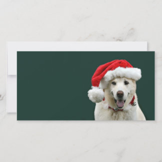 Cartes Pour Fêtes Annuelles Noël jaune de laboratoire
