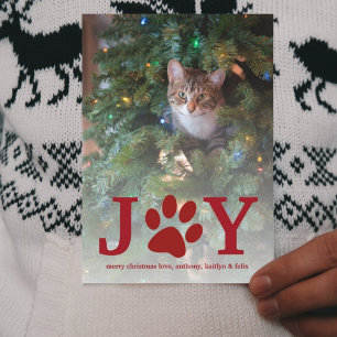 Cartes Pour Fêtes Annuelles Noël Joie   Photo de vacances pour animaux