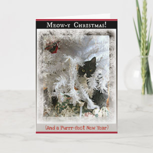 Cartes Pour Fêtes Annuelles Noël Kitten salutations de l'intérieur de l'arbre