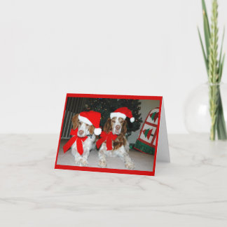 CARTES POUR FÊTES ANNUELLES NOËL LA BRETAGNE
