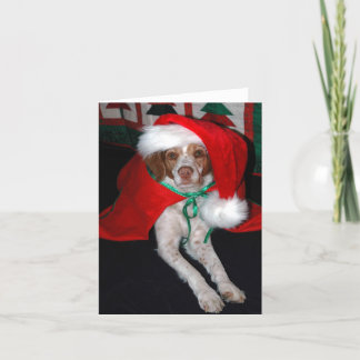 CARTES POUR FÊTES ANNUELLES NOËL LA BRETAGNE