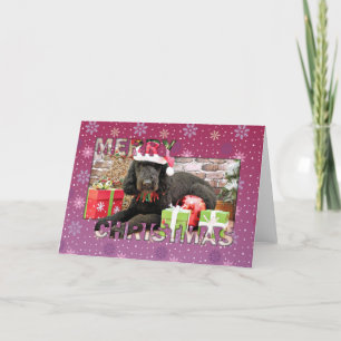 Cartes Pour Fêtes Annuelles Noël - LabraDoodle - Miller